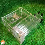 Acryl mierenboerderij met nestbuizen