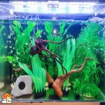 Aquarium decoratie planten - siliconen kelp