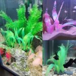 Aquarium decoratie planten - siliconen kelp - Afbeelding 2