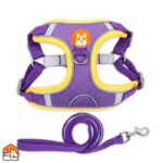 Reflecterend hondentuig met riem voor kleine honden