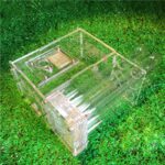 Acryl mierenboerderij met nestbuizen - Afbeelding 4
