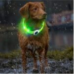 PVC LED-halsband voor honden met USB-oplader - Afbeelding 2