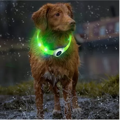 LED halsband – PVC – USB oplader Honden HuisdierXL