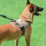 K9 vest reflecterend - Afbeelding 3