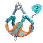 Reflecterend hondentuig met riem voor kleine honden - Afbeelding 4