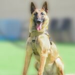 K9 vest reflecterend - Afbeelding 2