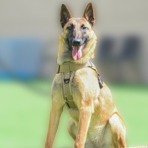 K9 Vest Reflecterend Honden HuisdierXL