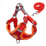 Reflecterend hondentuig met riem voor kleine honden - Afbeelding 3