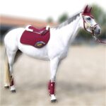 Paarden zweet absorptie pad - Afbeelding 4