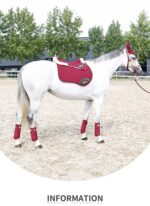 Wollen zadelpad voor paarden - Afbeelding 2