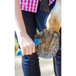 2-in-1 hoefreinigingsborstel voor paarden - Afbeelding 2