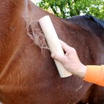 Houten vachtkrabber voor paarden – 25 × 6,5 cm - Afbeelding 4