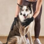 Groominghandschoen voor paarden - Afbeelding 3
