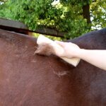 Houten vachtkrabber voor paarden – 25 × 6,5 cm - Afbeelding 3