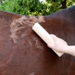 Houten vachtkrabber voor paarden – 25 × 6,5 cm - Afbeelding 2