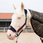 Verstelbaar fleece halster voor paarden - Afbeelding 2