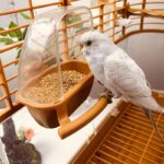 Voerbak voor vogelkooi - Afbeelding 2