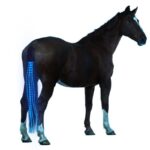 LED-staartverlichting voor paarden - Afbeelding 2