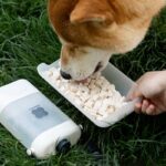 3-in-1 reisfles voor honden - Afbeelding 2