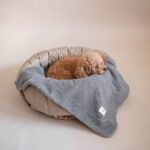 Dierenvervoer container - Afbeelding 4