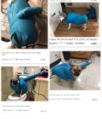 Honden vacht droog zak - Afbeelding 4