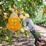 Reptielen voedsel klem - insecten lepel - Afbeelding 3