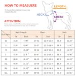 Honden regenjas - Afbeelding 4