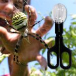 Reptielen voedsel klem - insecten lepel - Afbeelding 2