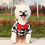 Honden houthakkers blouse - met strikje - Afbeelding 4
