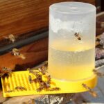Bijenteelt - water drink systeem - Afbeelding 2
