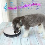 Automatische voerdispenser voor honden - Afbeelding 3