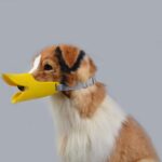 Hondenmuilkorf met snaveldesign - Afbeelding 2