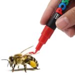 Markeerstift voor insecten - Afbeelding 2
