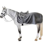 Paarden kleed - met decoratie - training - Afbeelding 2