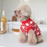Huisdieren trui - kerstmis - lekker warm - Afbeelding 3