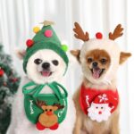 Kerstaccessoires voor honden – muts of slabbetje - Afbeelding 3