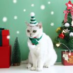 Kerstmis katten en honden sjawl - Afbeelding 2
