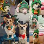 Kerstaccessoires voor honden – muts of slabbetje - Afbeelding 4
