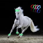 LED-beenbanden voor paarden - 4 stuks - Afbeelding 3