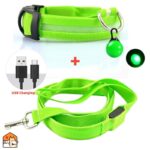 USB LED riem + hondenhalsband
