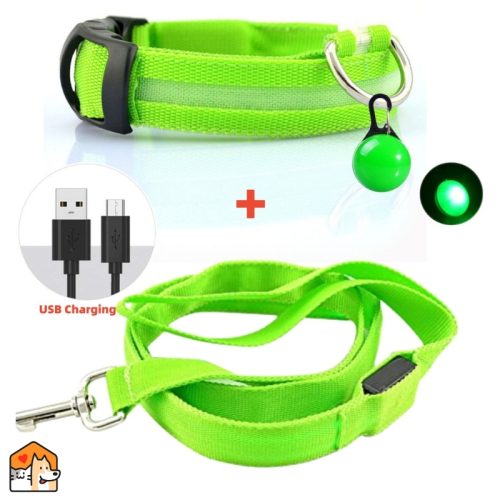 USB Led riem + hondenhalsband Honden HuisdierXL