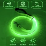 USB LED riem + hondenhalsband - Afbeelding 4