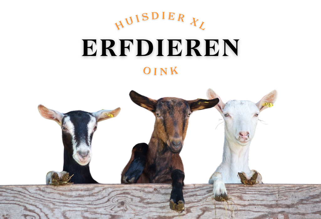 huisdierxl erfdieren