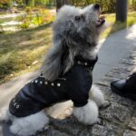 Bikers bontjas voor blije beestjes - leer - Afbeelding 2