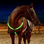 LED-set met paardenharnas en staartverlichting - Afbeelding 4
