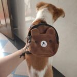 Dierenrugzak met verstelbare riem - Afbeelding 3