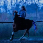 LED-set met paardenharnas en staartverlichting - Afbeelding 2