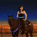 LED-set met paardenharnas en staartverlichting - Afbeelding 3