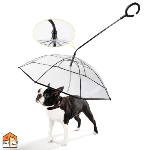 Huisdierlijn met Paraplu – Regen- en Sneeuwbestendig voor Kleine Huisdieren Extra HuisdierXL