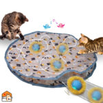 Interactief kattenspeelgoed met ballen